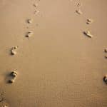 Photo by Felipe Correia