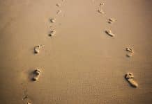 Footprints in the sand