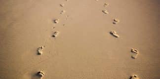 Footprints in the sand