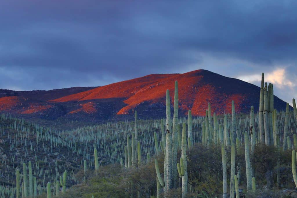 Mexican landscape