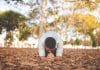 A man kneels in the forest
