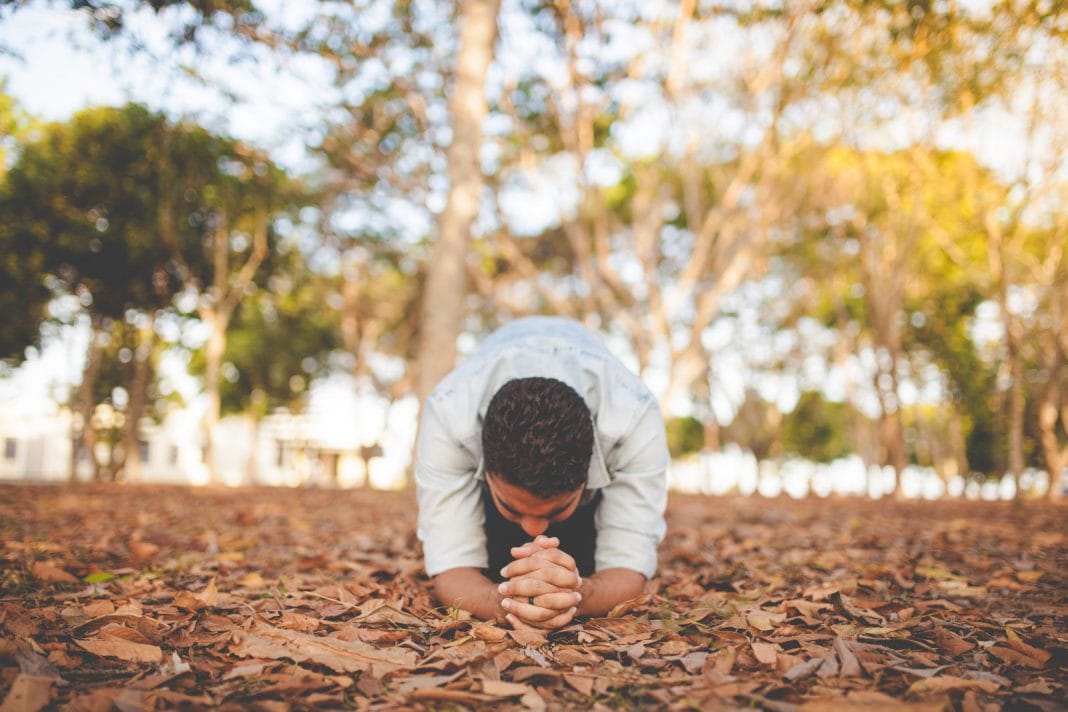 A man kneels in the forest