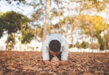 A man kneels in the forest