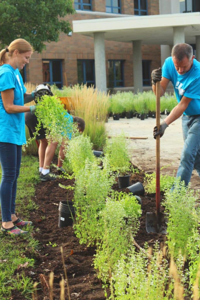 Two volunteers tend a garden