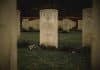 A white grave in a gloomy graveyard
