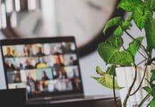 black flat screen tv turned on near green plant