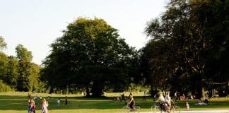 people playing soccer on green grass field during daytime