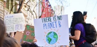 person holding there is no planet b poster