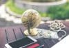 gray desk glove above U.S dollar beside iPhone and white airpods