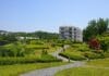 university, ewha, building