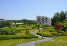 university, ewha, building