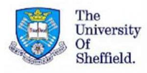 University of Sheffield